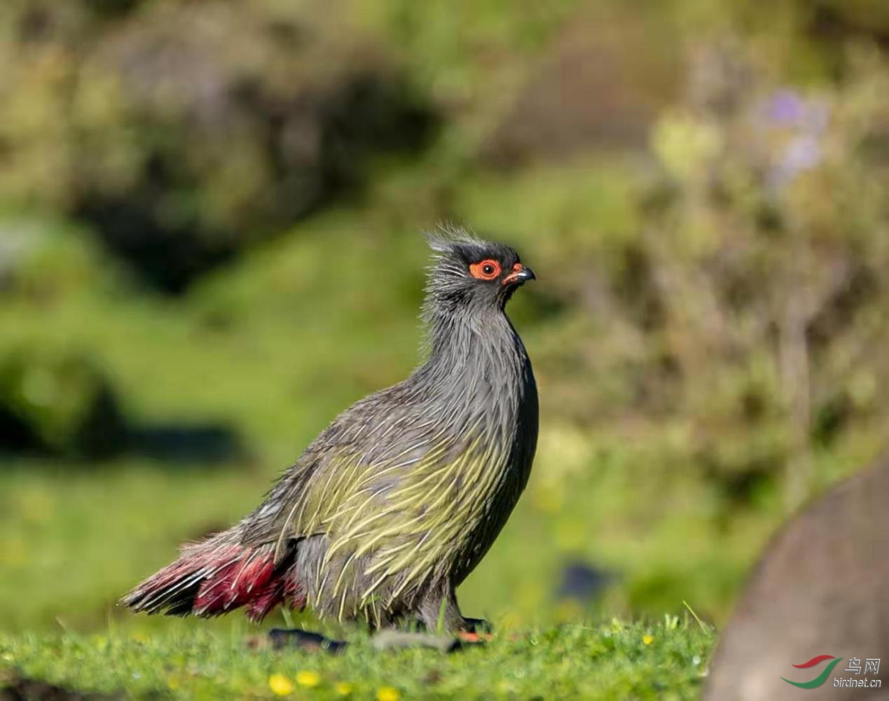 ͼƬ5 ����.jpg