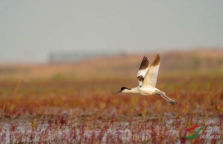 ͼƬ9 ����.jpg