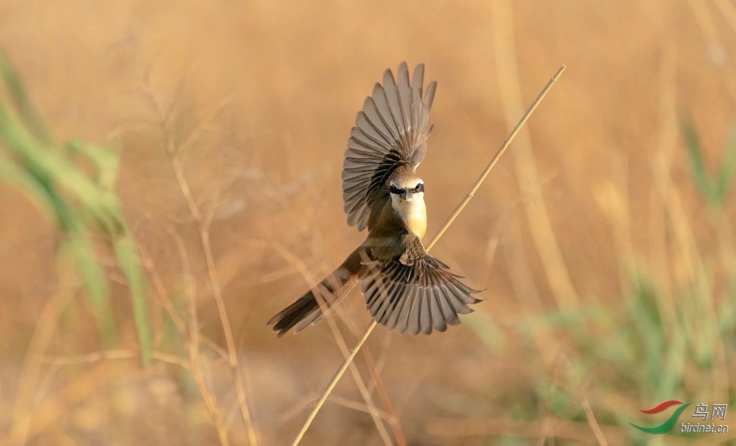 ͼƬ12 ����.jpg