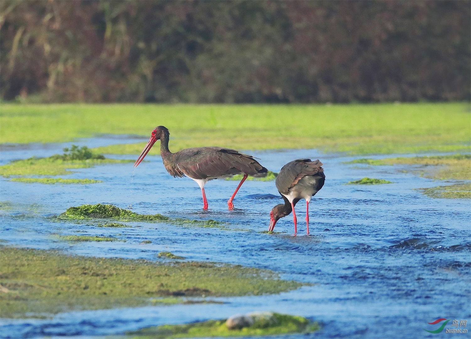 3 - ����.JPG