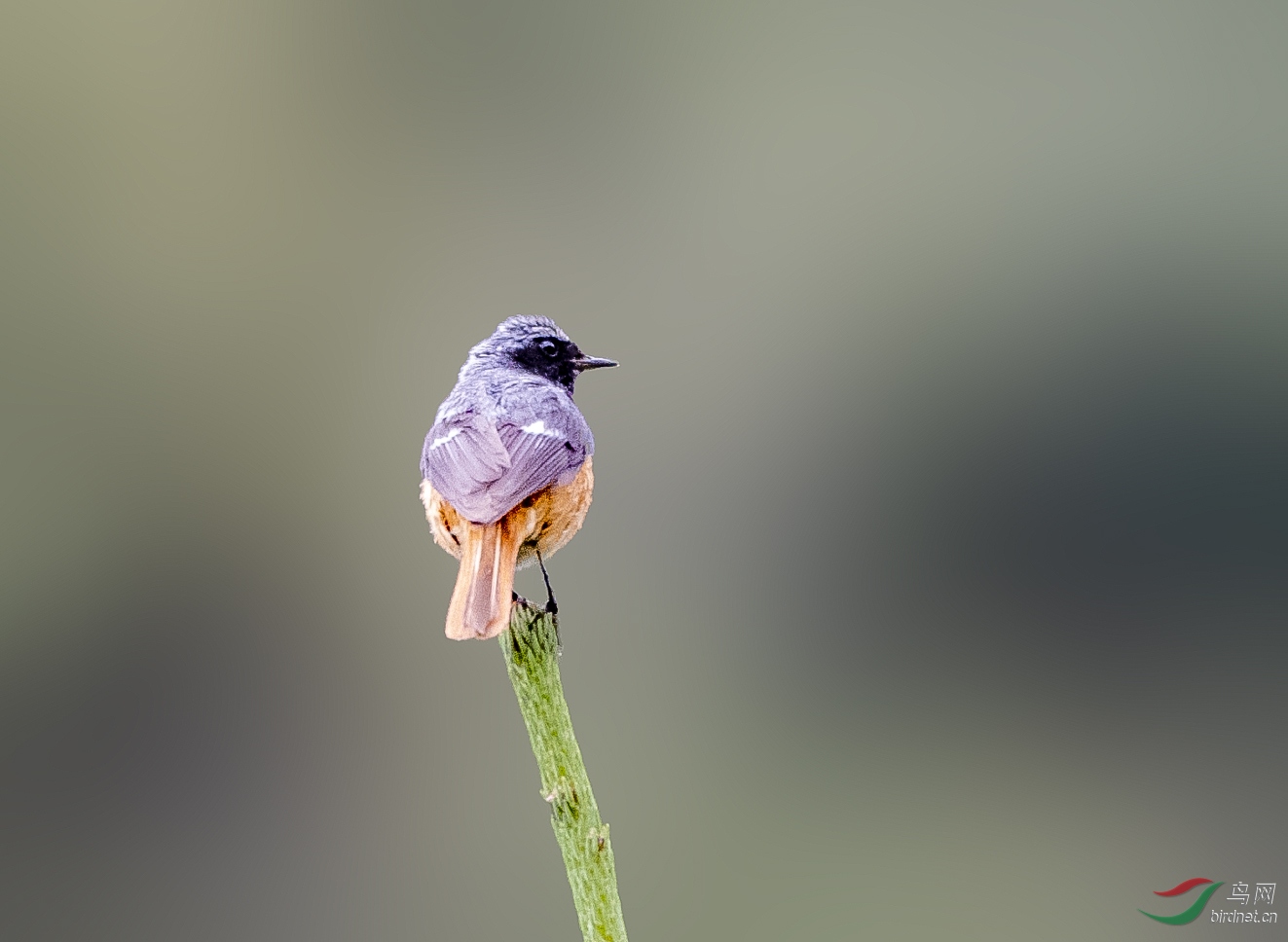 DSC_1807.JPG