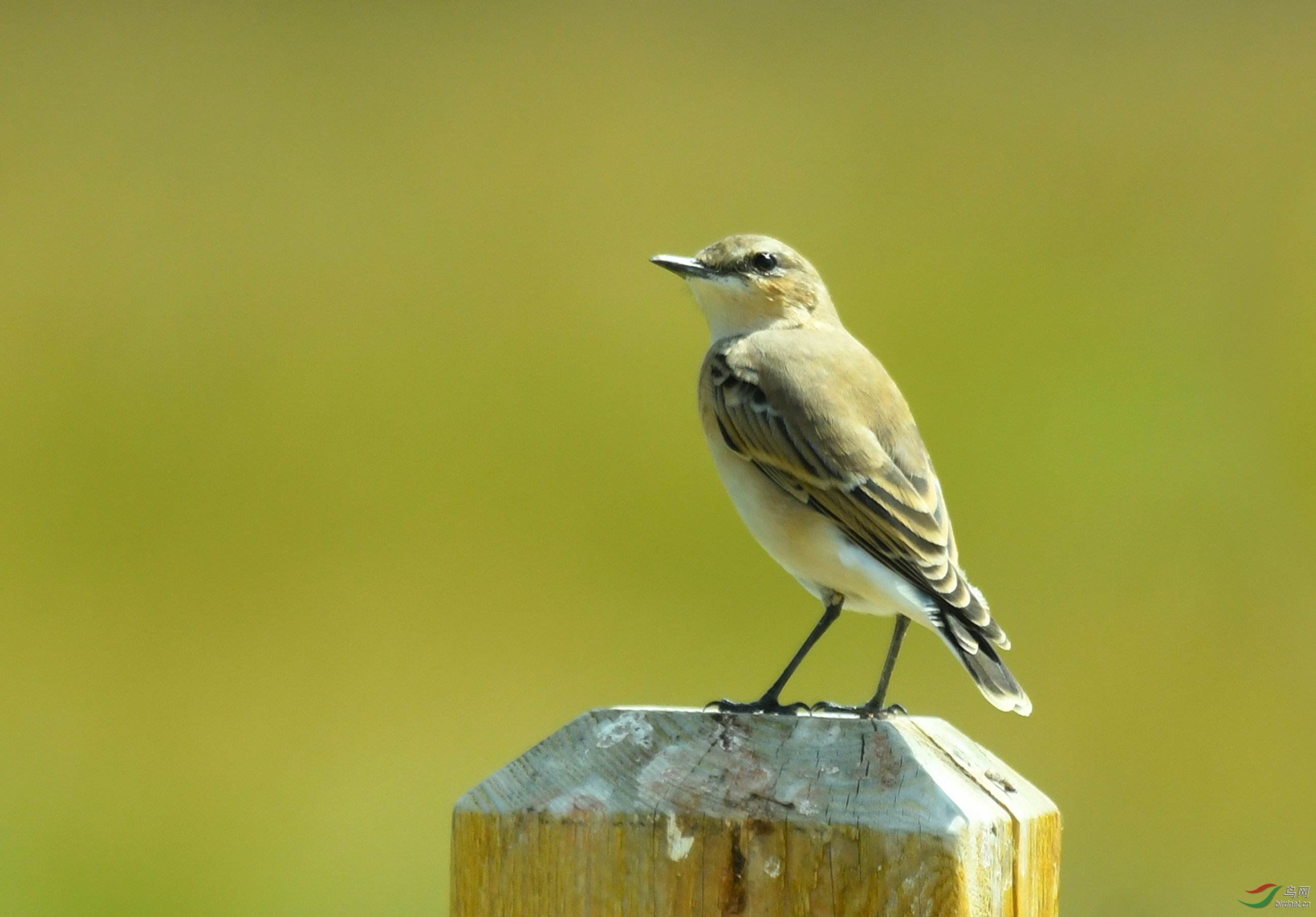 DSC_3034.JPG