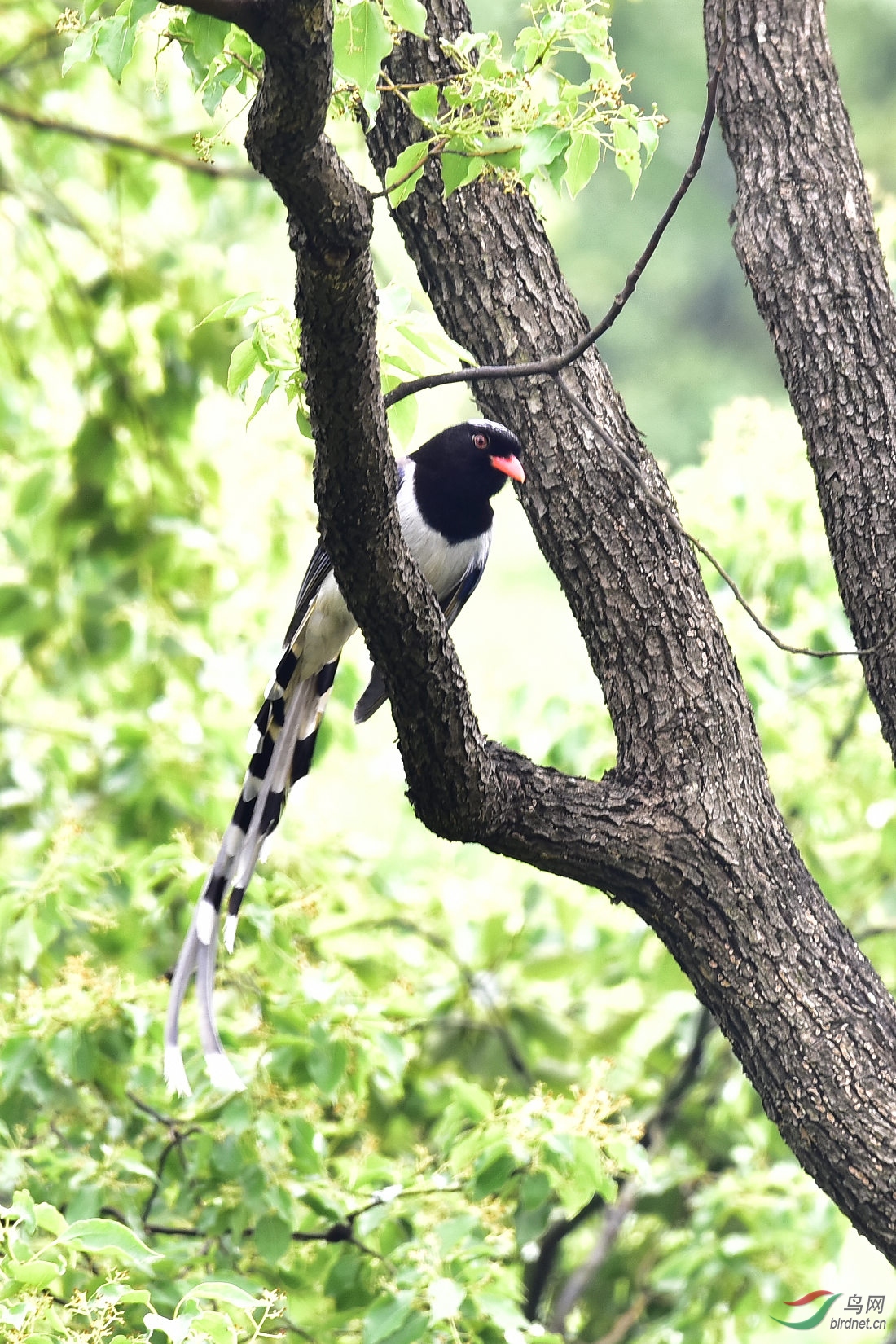 DSC_0450.JPG
