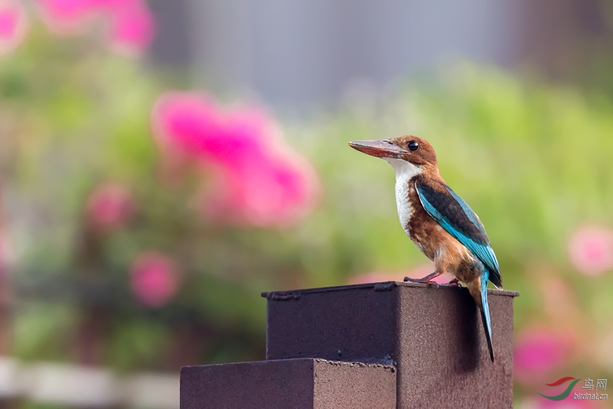 _DSC8797.jpg