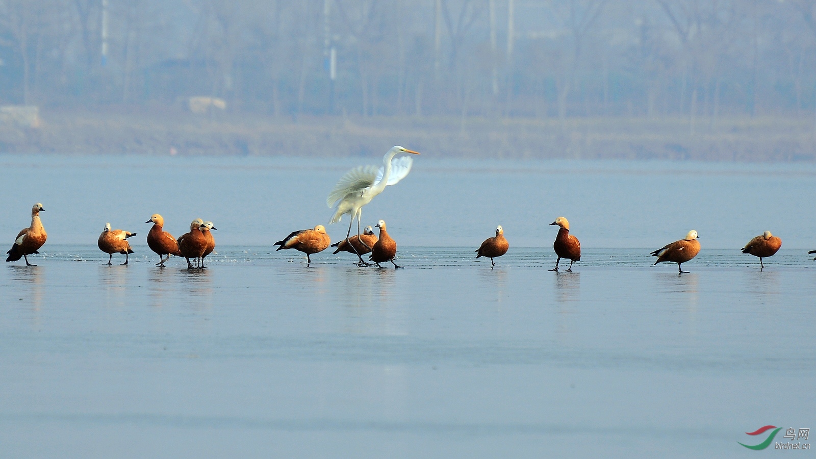 DSC_0140.JPG