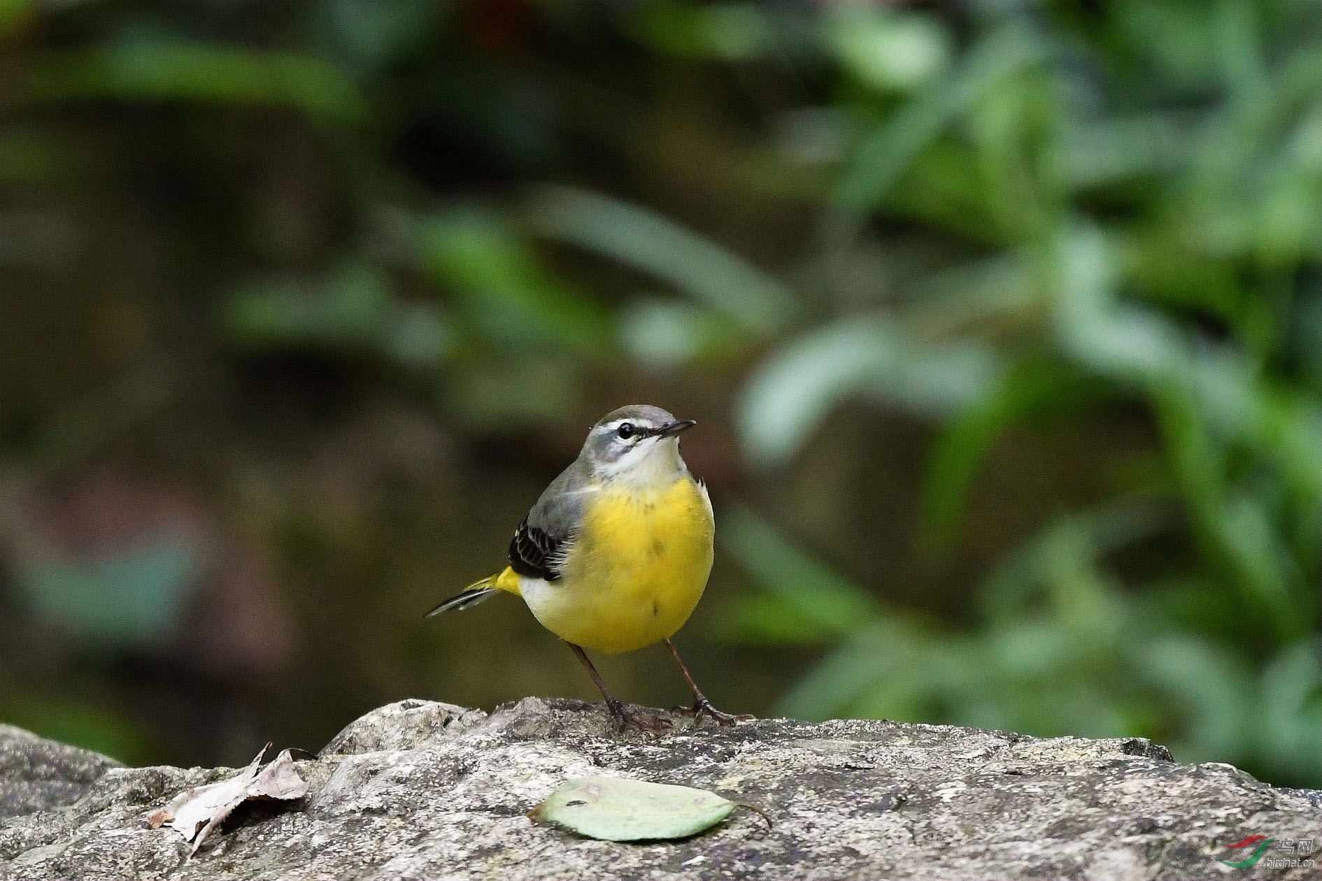 DSC_4337.JPG
