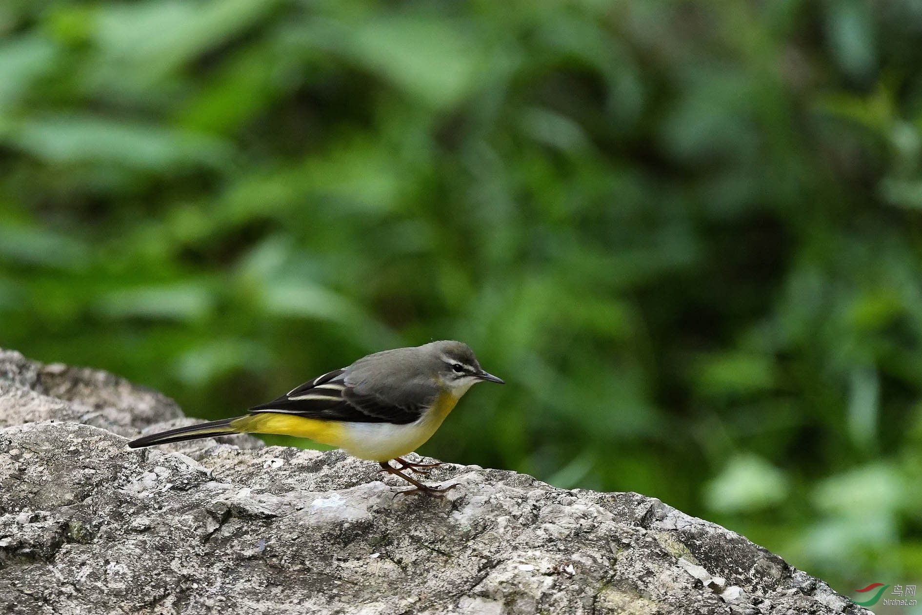 DSC_4375.JPG