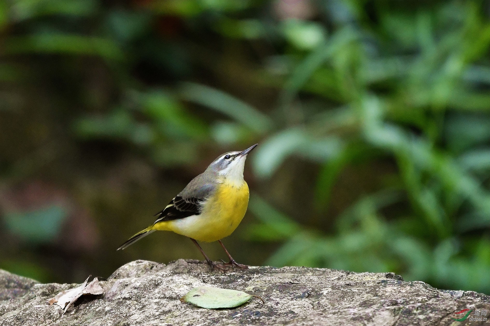 DSC_4347.JPG