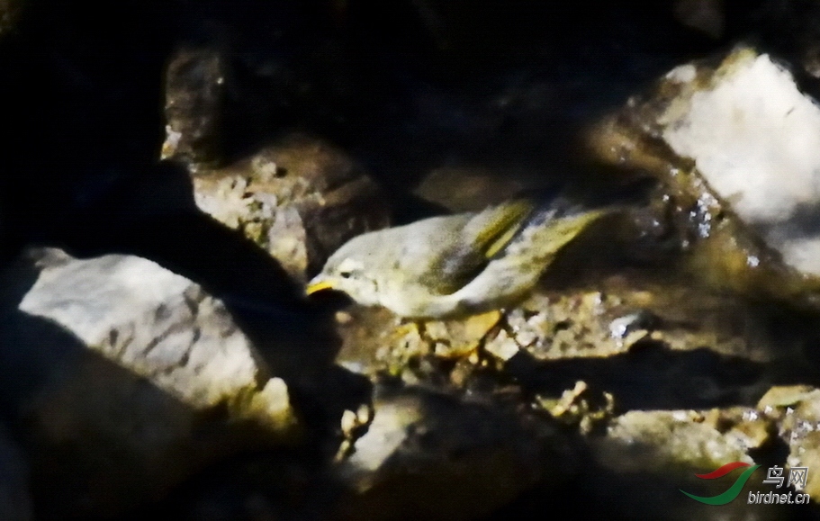 _DTG2132.JPG