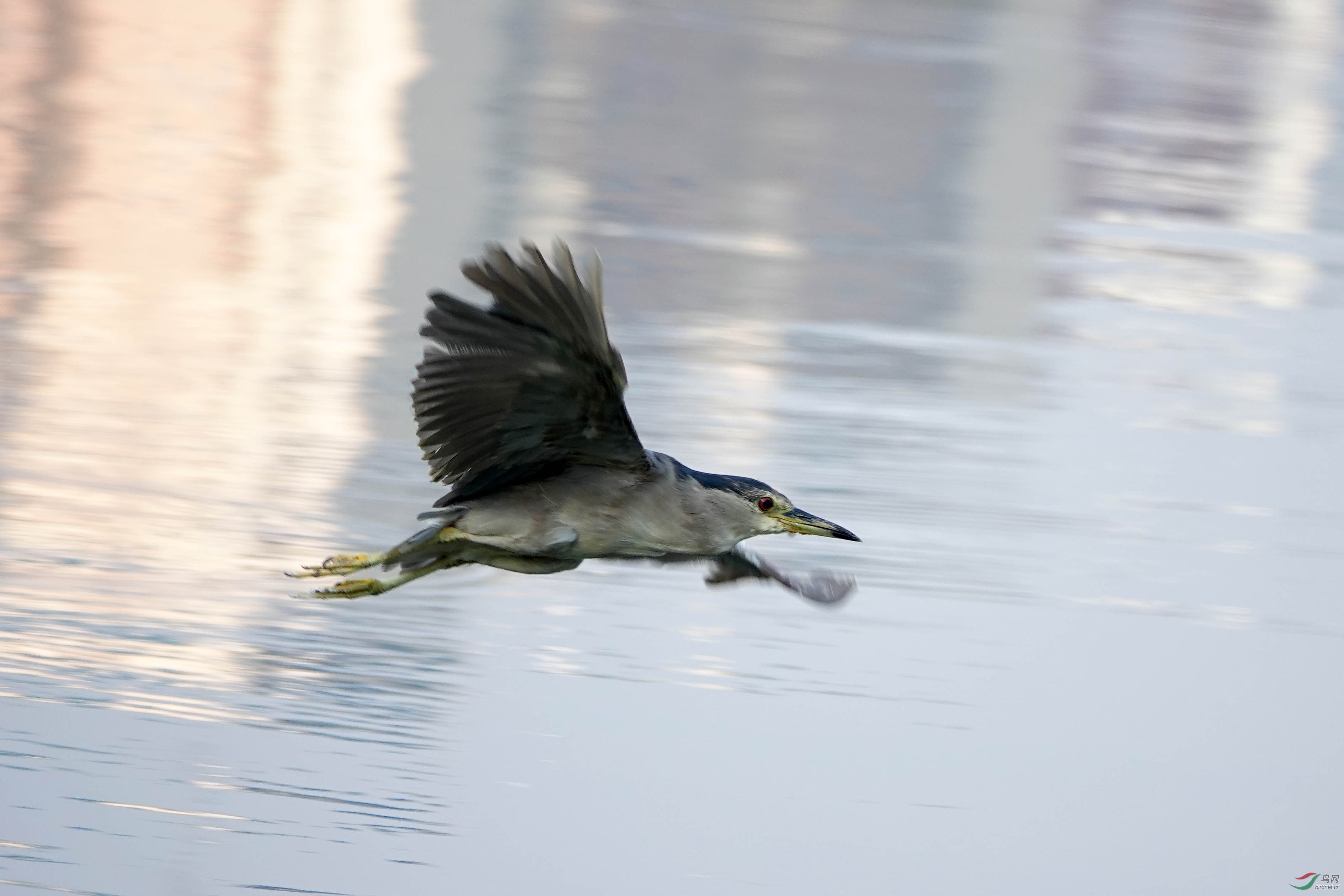 DSC01406-1.jpg