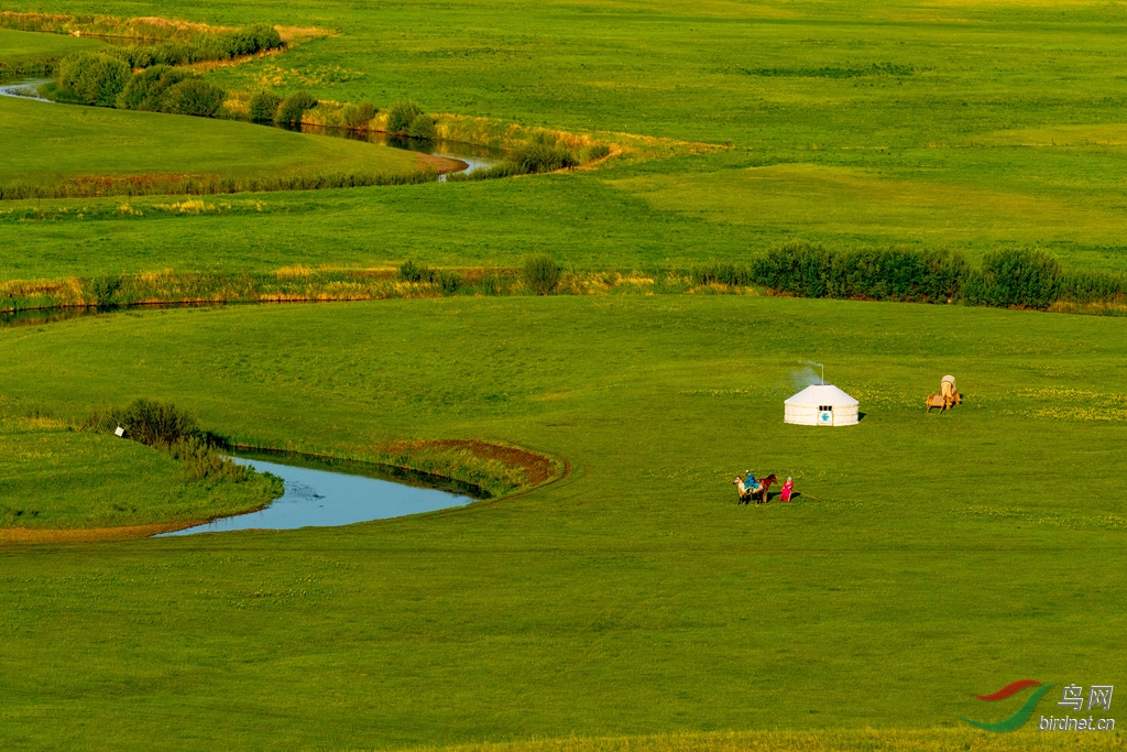 _K8I6815  01_����.jpg