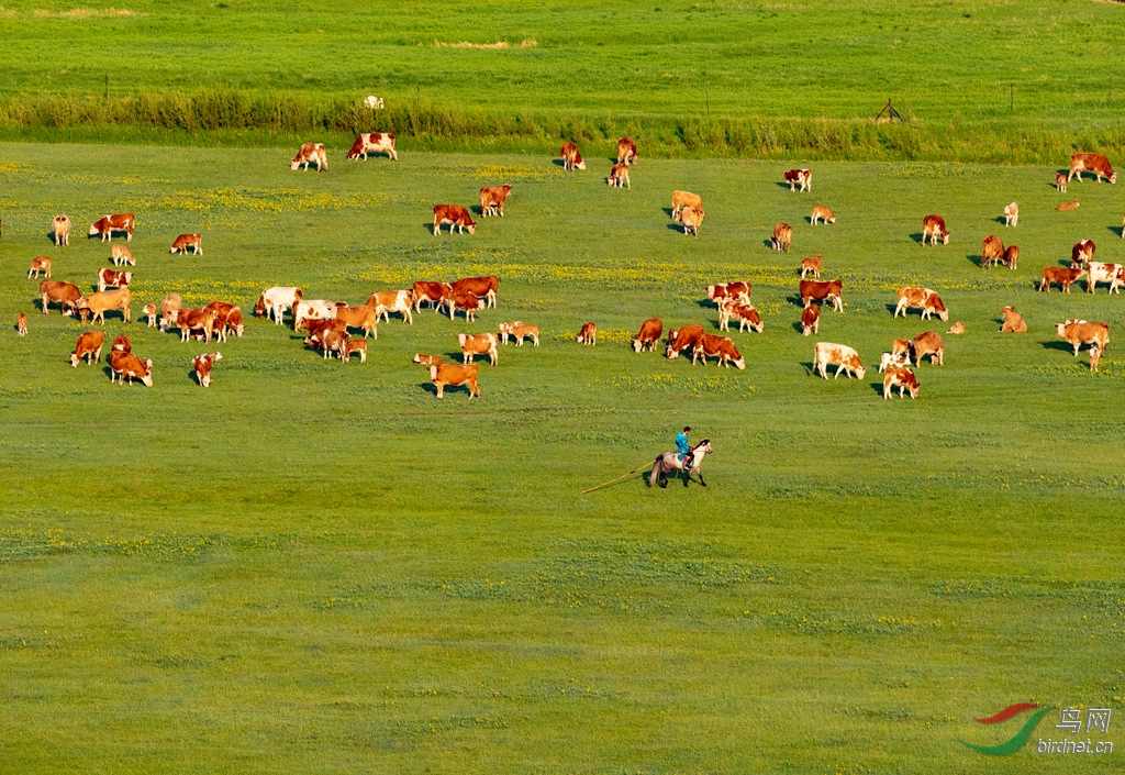 _K8I6704  01_����.jpg