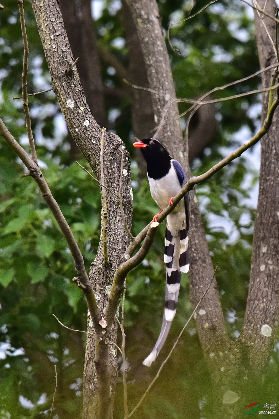 DSC_0454.JPG