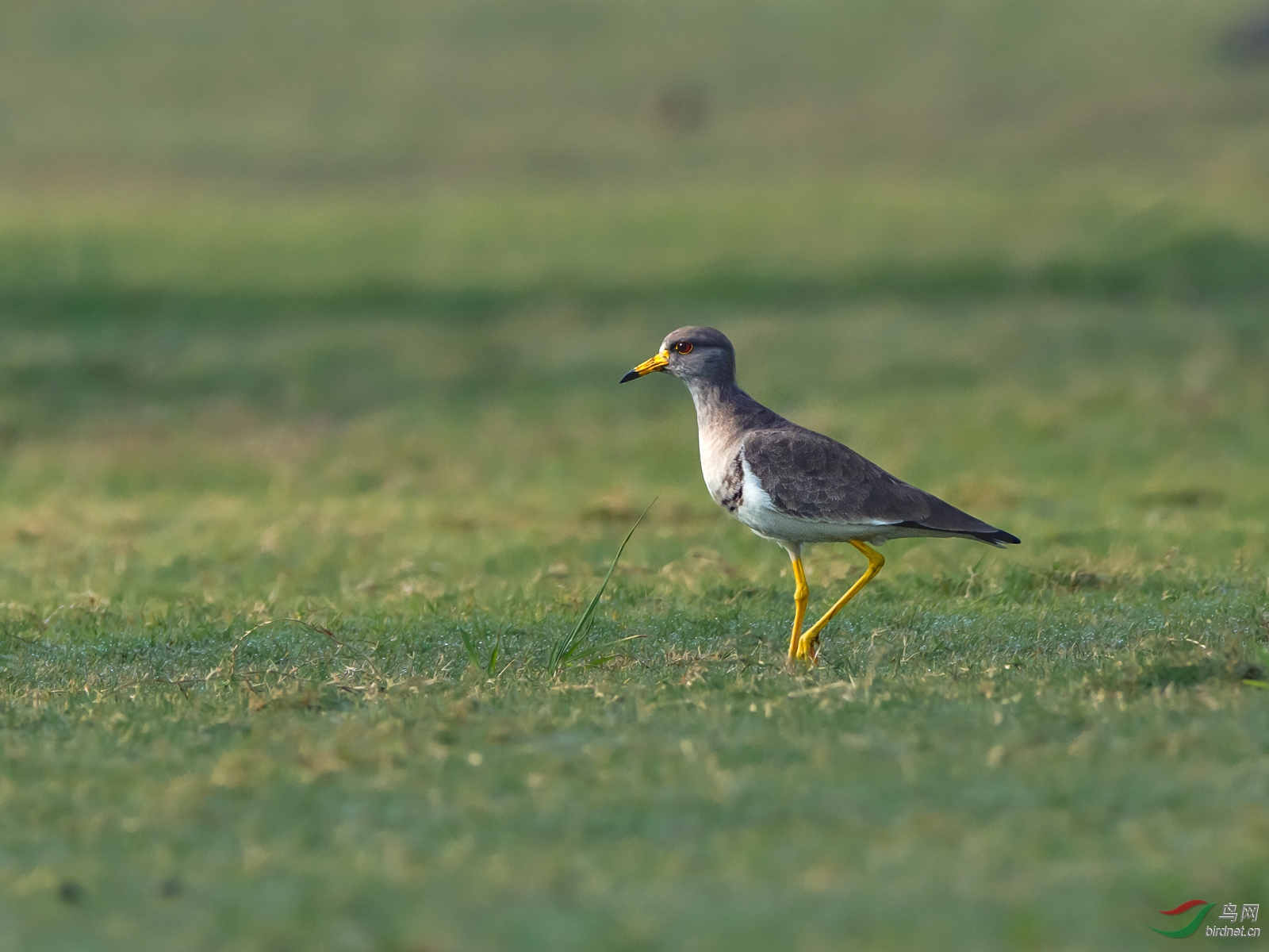 DSC_2755.jpg