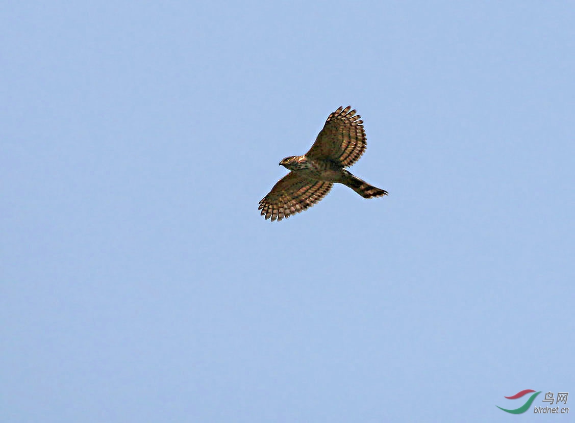 IMG_5569.jpg