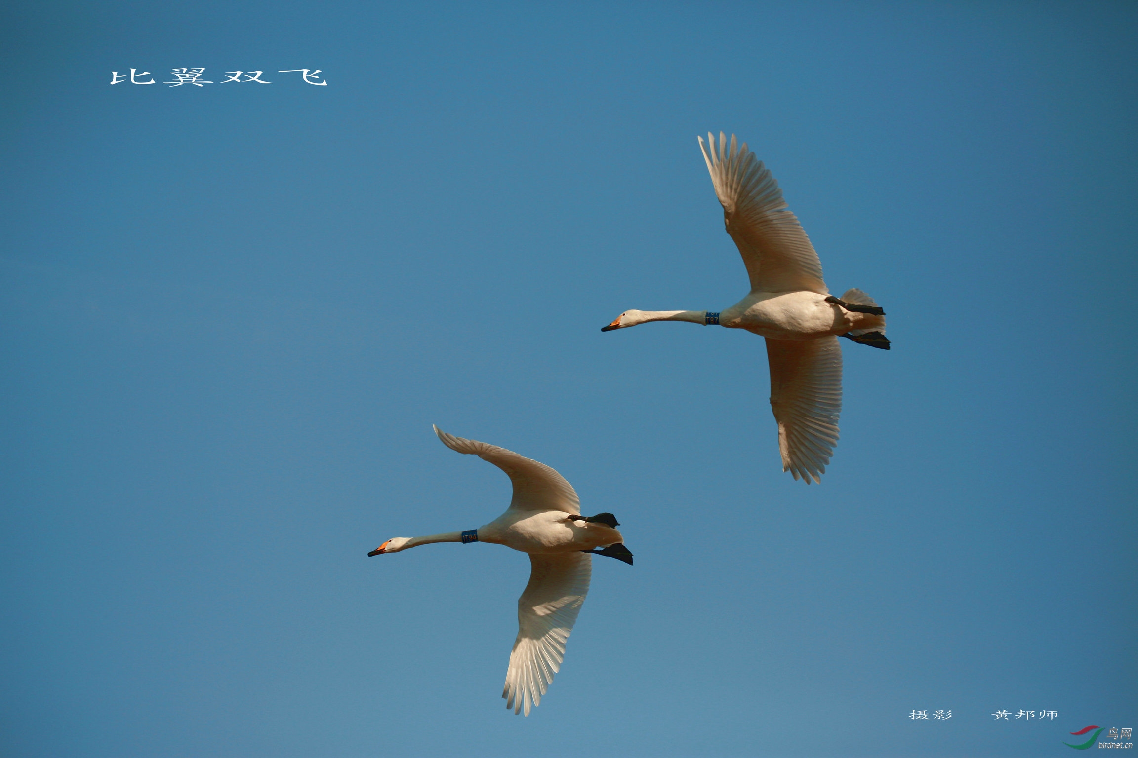 BG3A0647_���� - ���� - ���� - ����_����_����.jpg