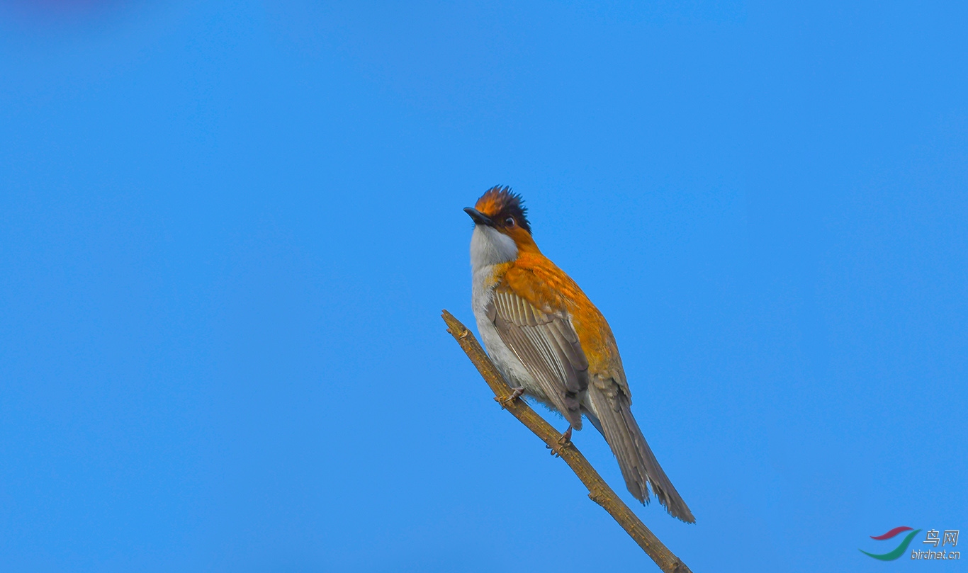 DSC_6617.JPG