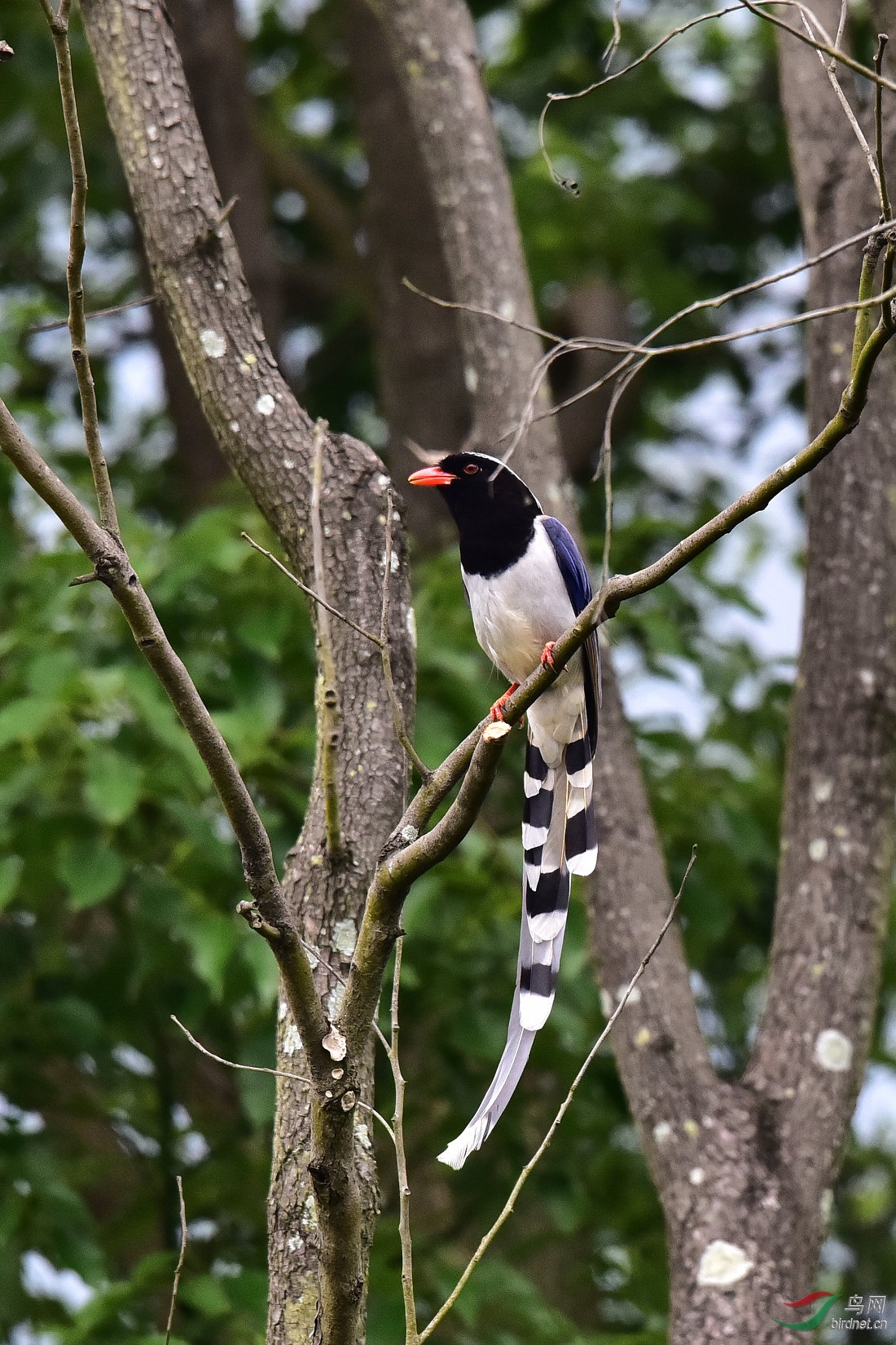 DSC_0455.JPG