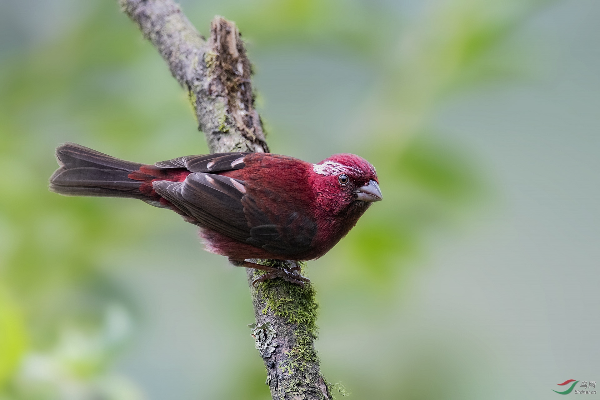 DSC_0536-500K.jpg