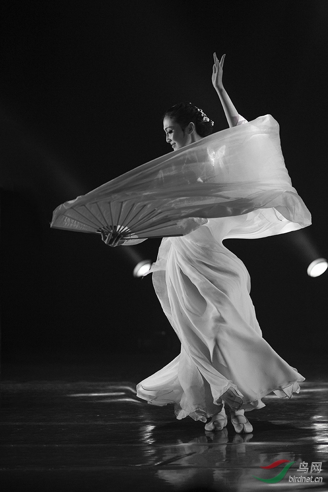 轻歌曼舞------ 祝贺老师佳作荣获黑白影像首页精华!