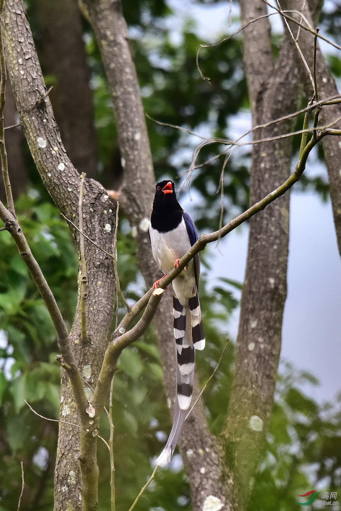 DSC_0458.JPG
