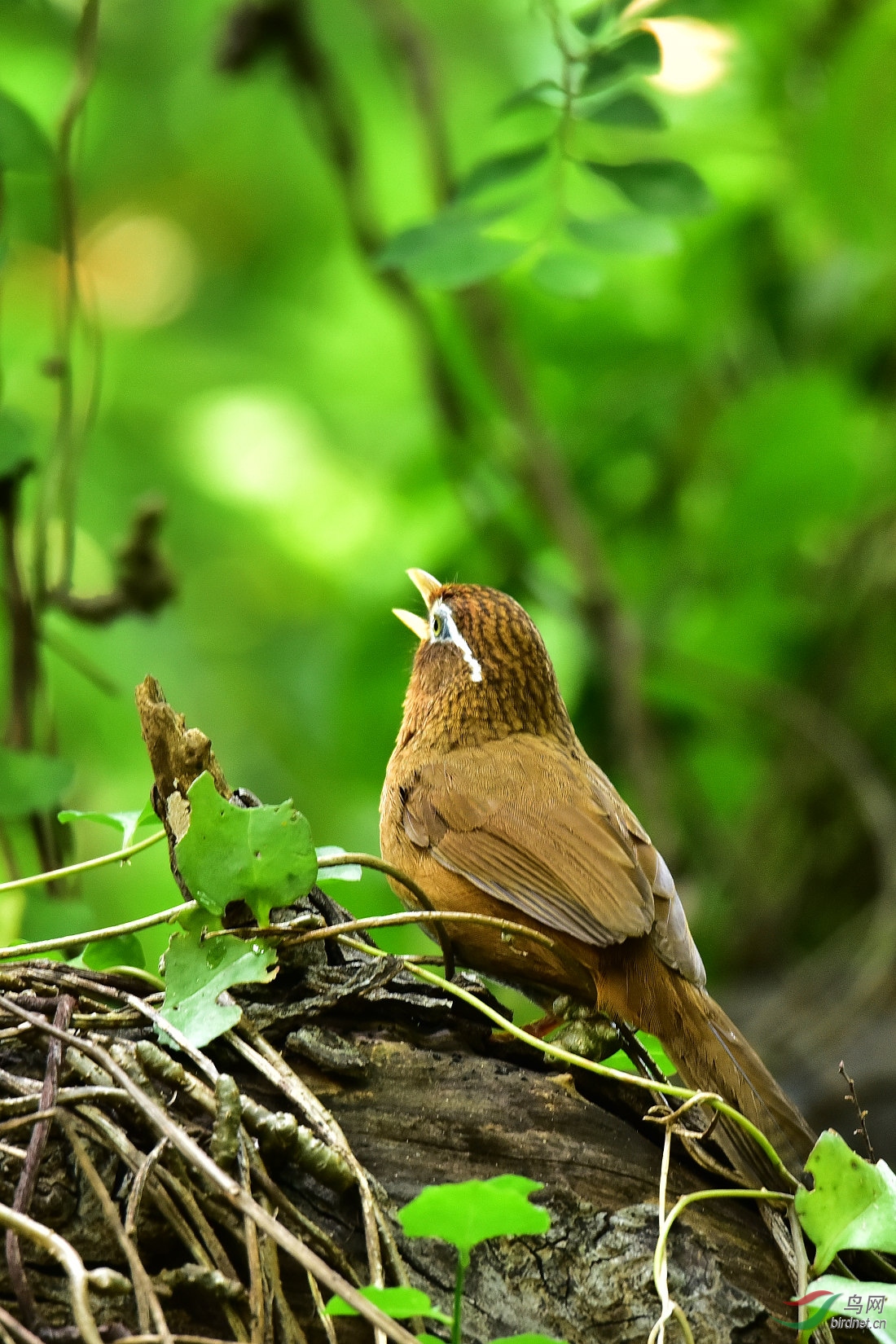 DSC_0047.JPG