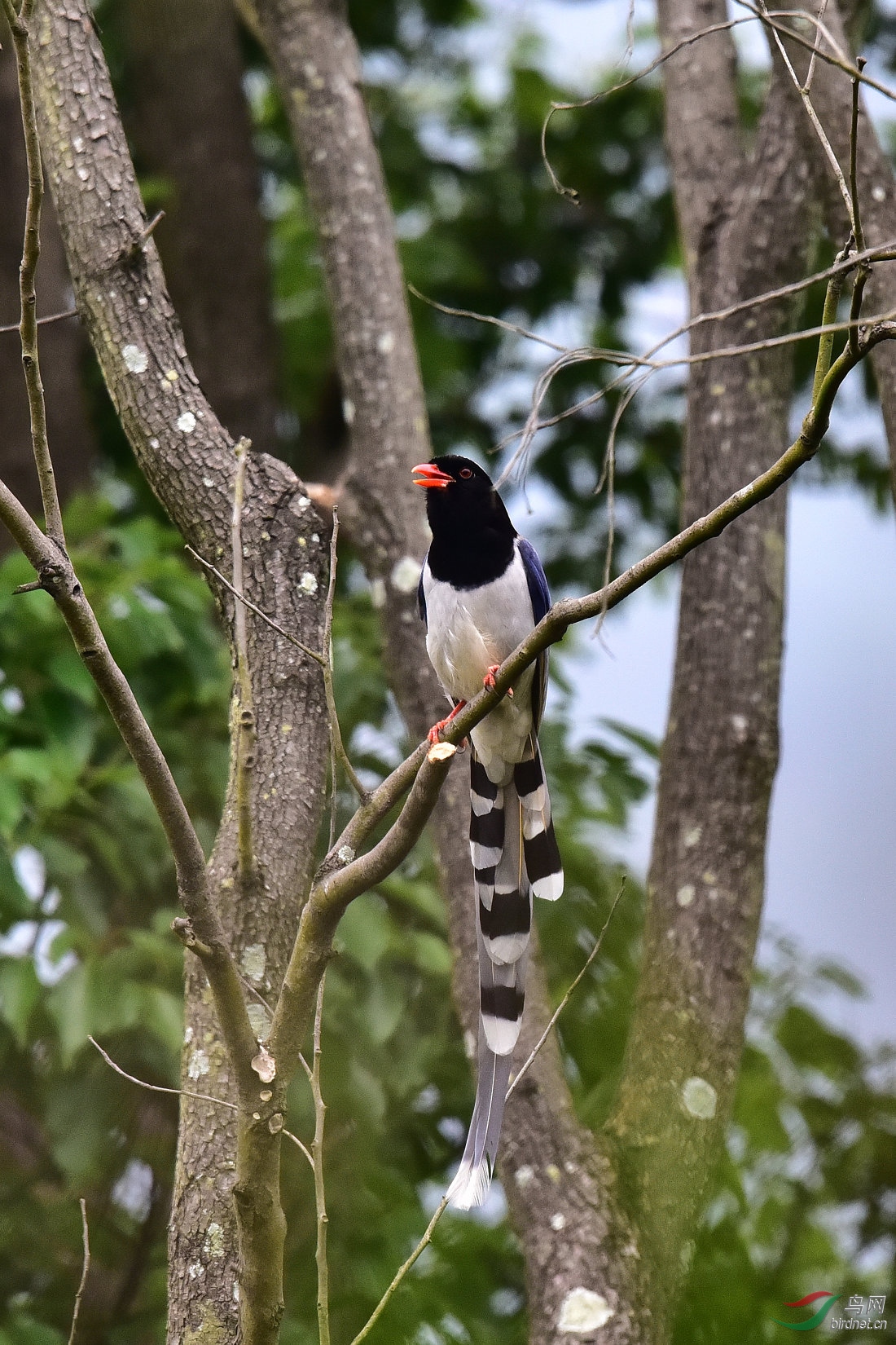 DSC_0459.JPG