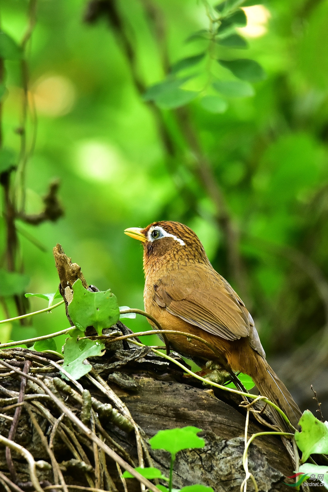 DSC_0049.JPG