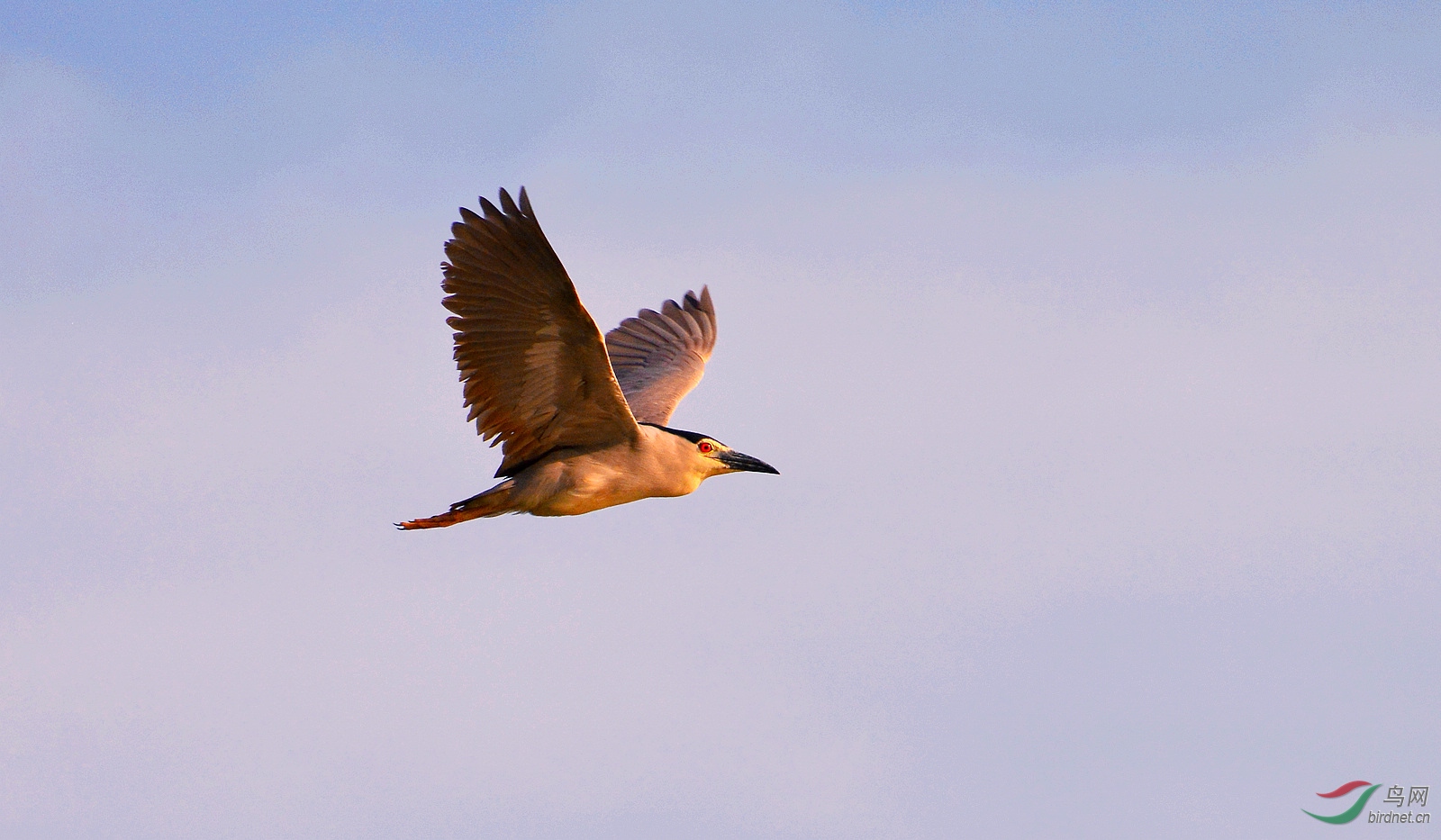 DSC_0808.JPG