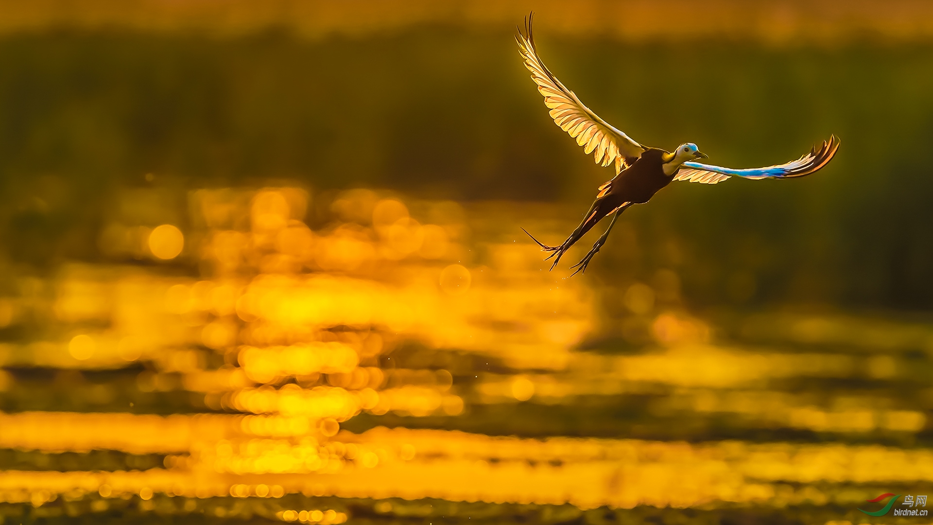 _DSC4989С7.jpg