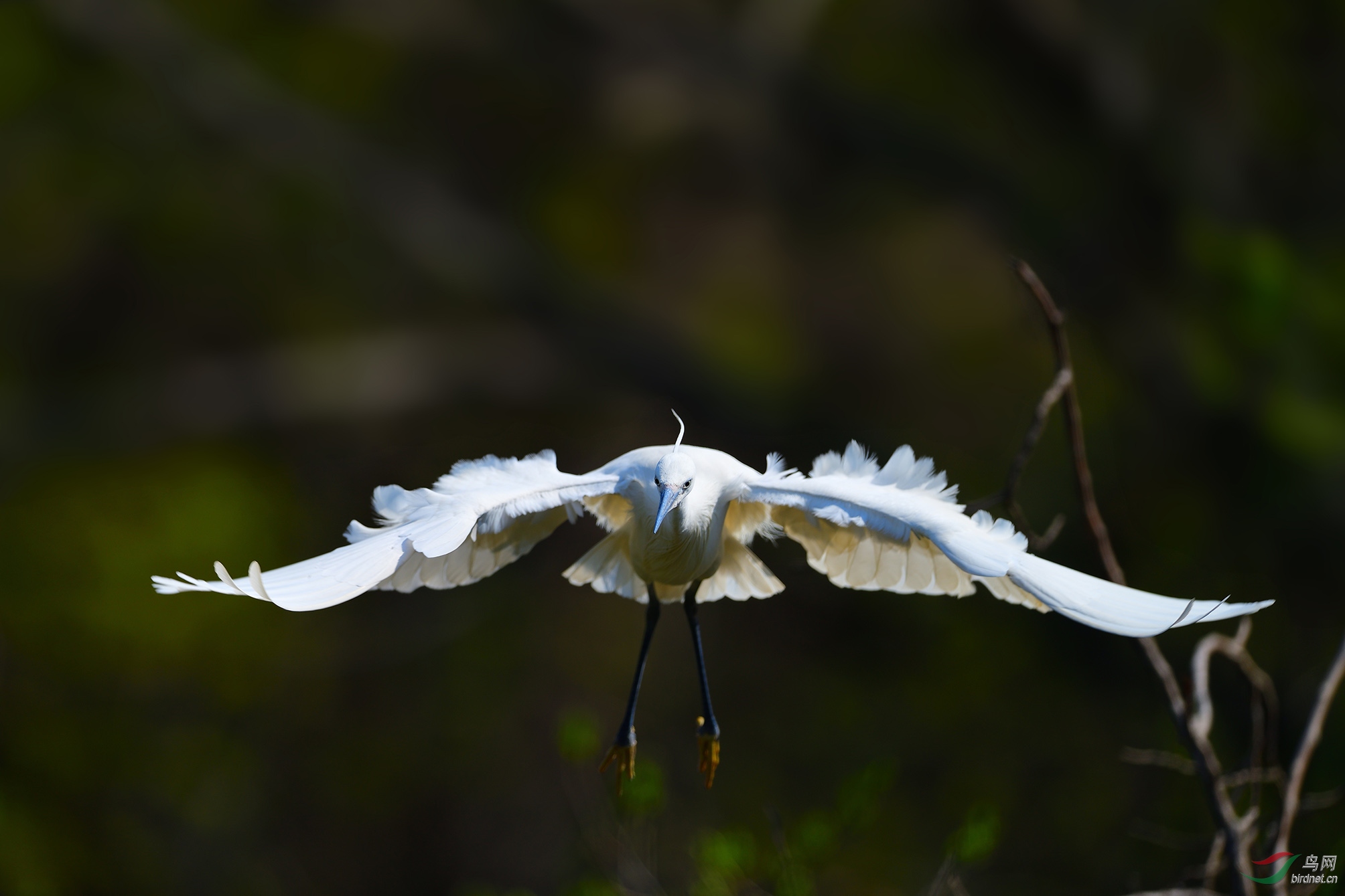 DSC_4310_���س�û���ּ� �ϴ�.jpg