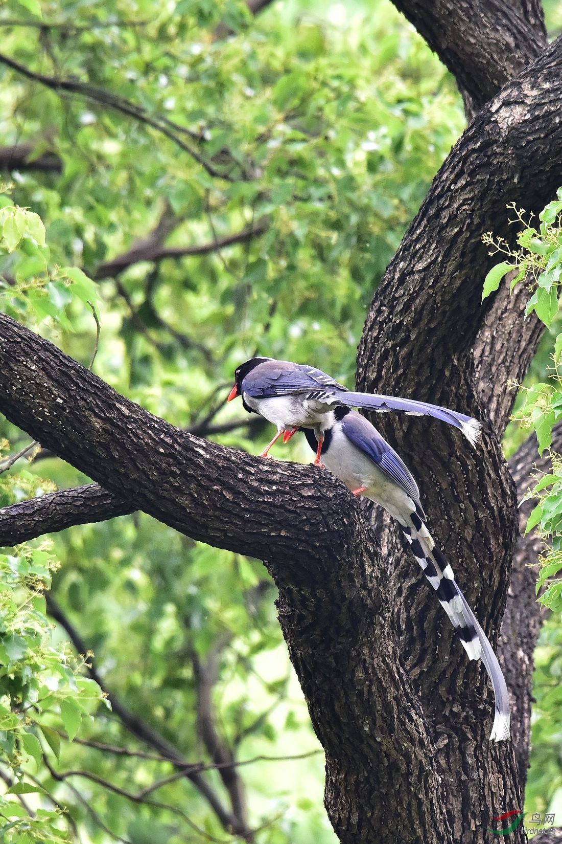DSC_0461.JPG