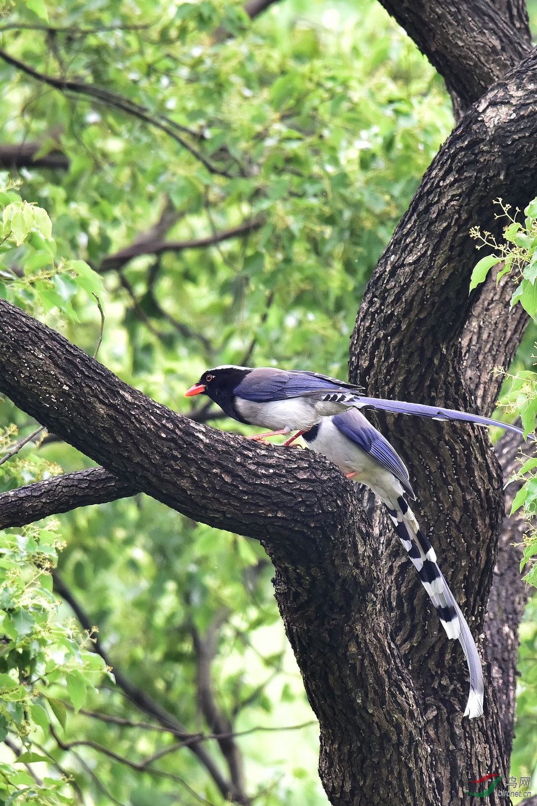 DSC_0462.JPG