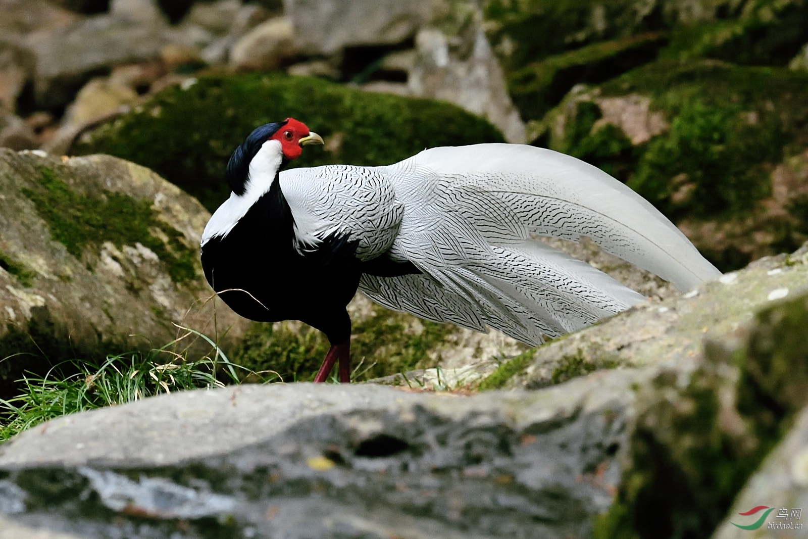 D5S_5566_8166a.jpg