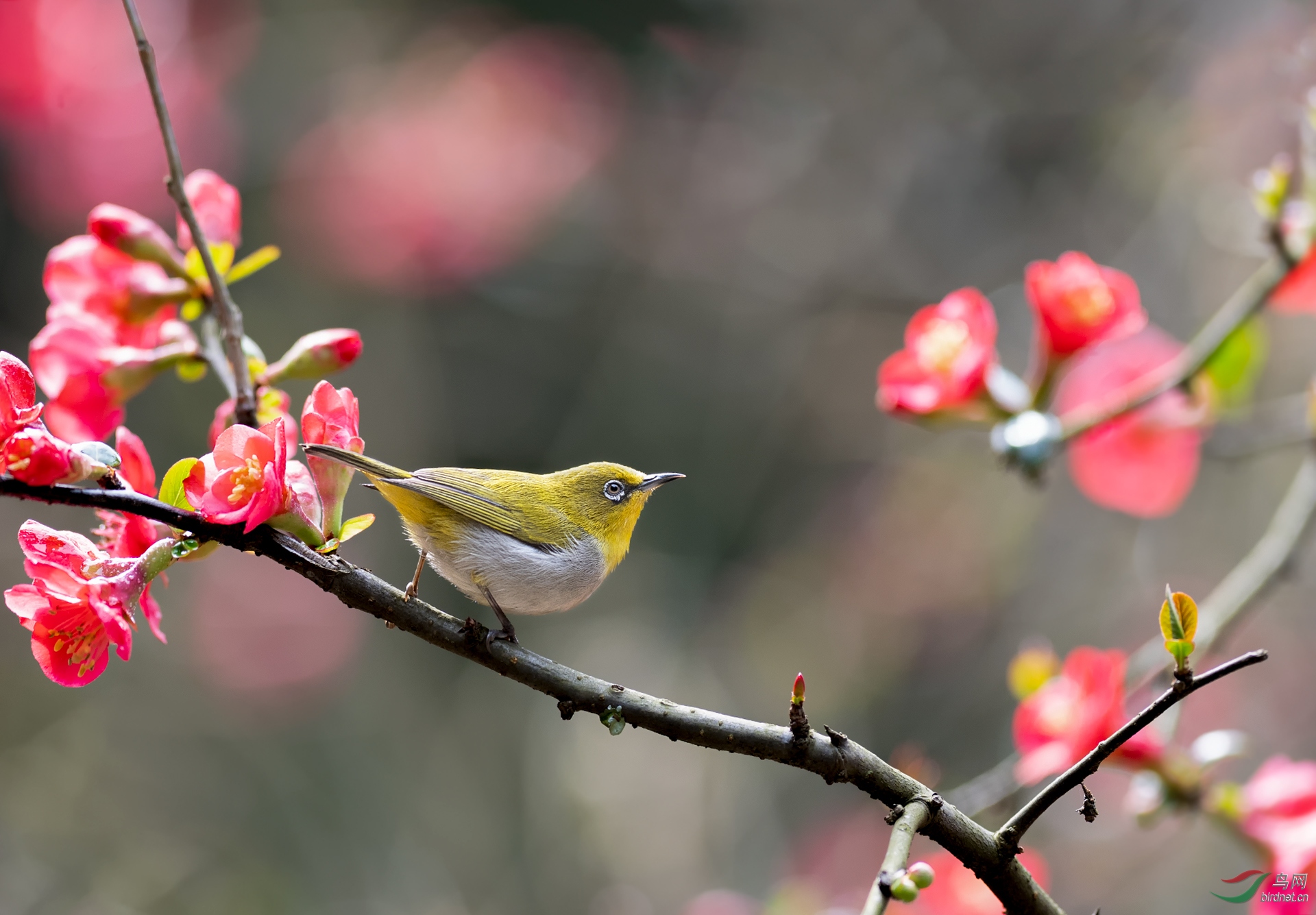 DSC_0415.jpg