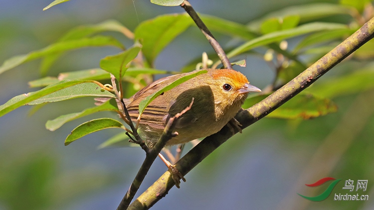 iso640����Ȧ6.3��1/640