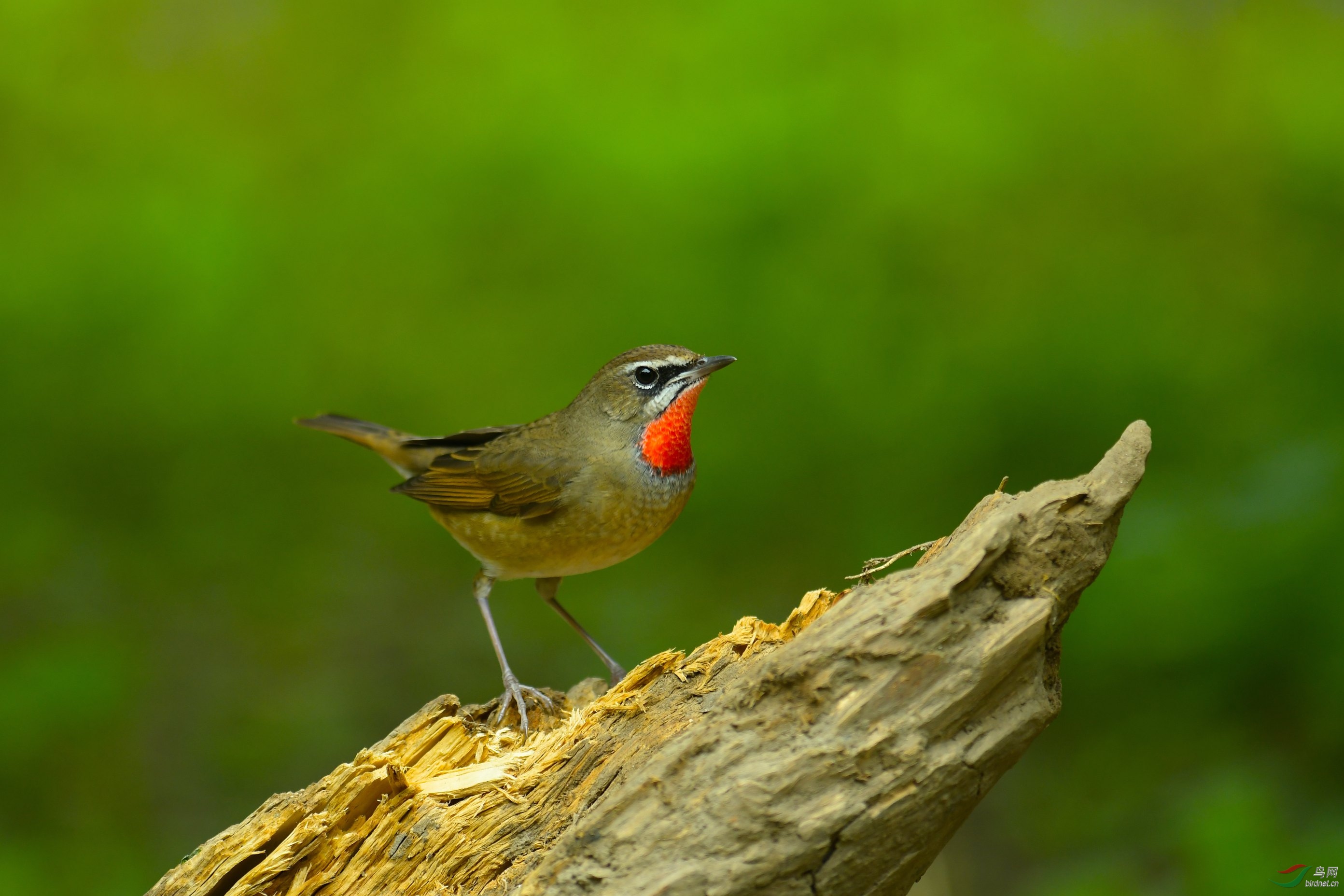 DSC_5390.JPG