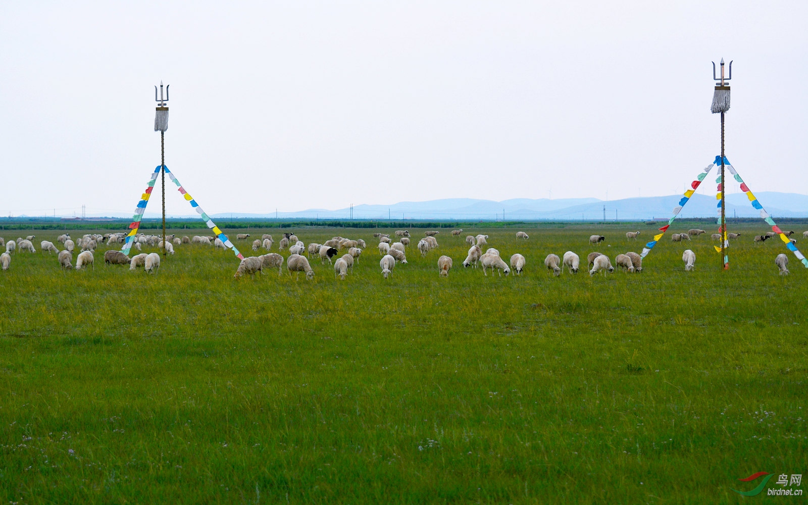 DSC_5431.JPG