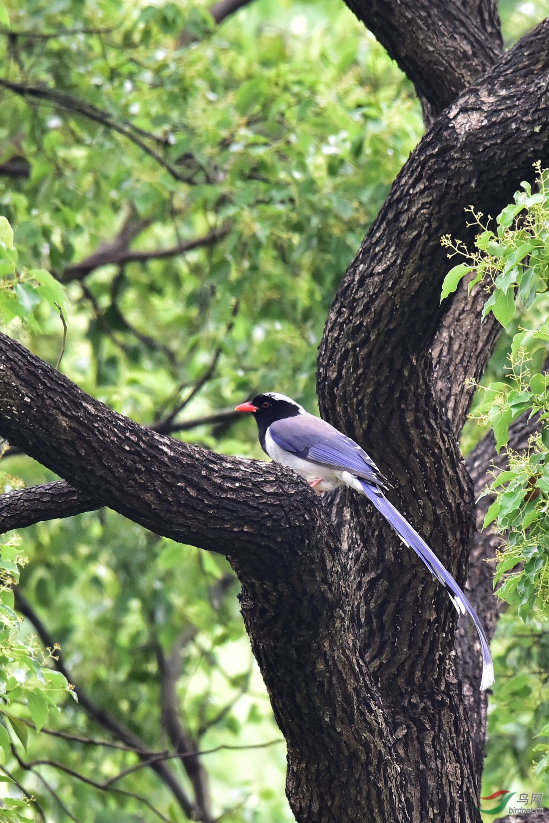 DSC_0463.JPG