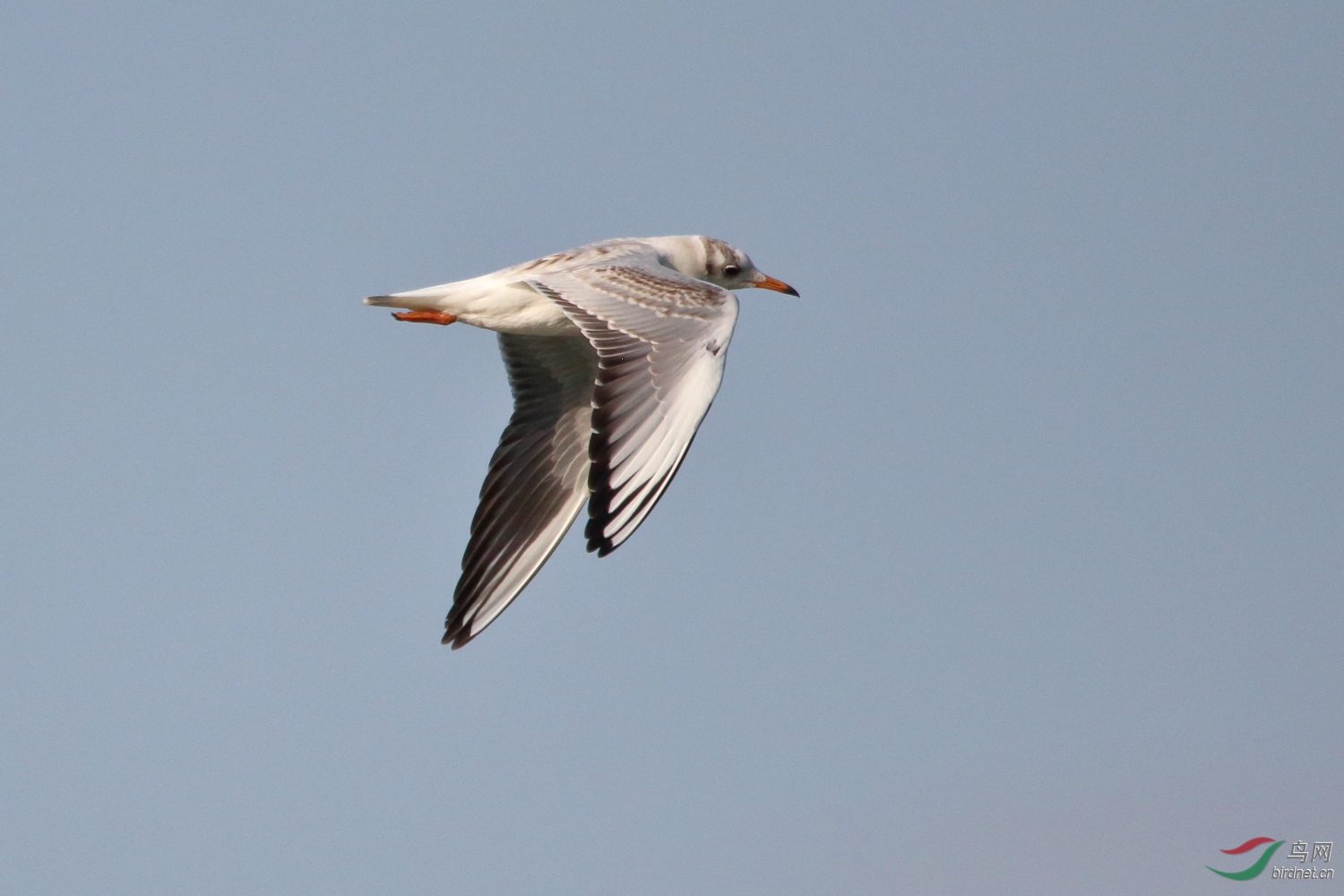 IMG_7824.JPG