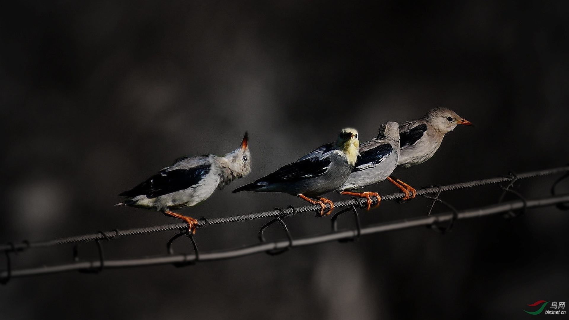 ����ͬ��