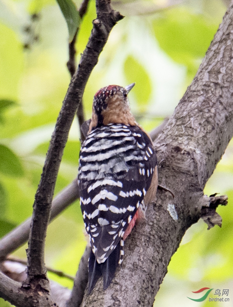 DSC_7650.jpg