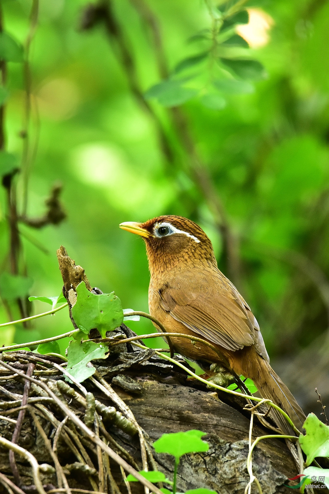 DSC_0055.JPG