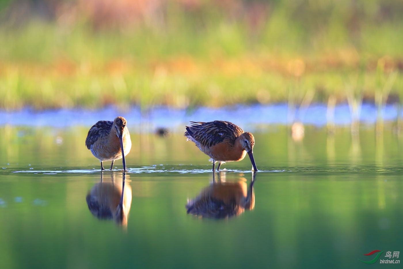 һ�԰�����