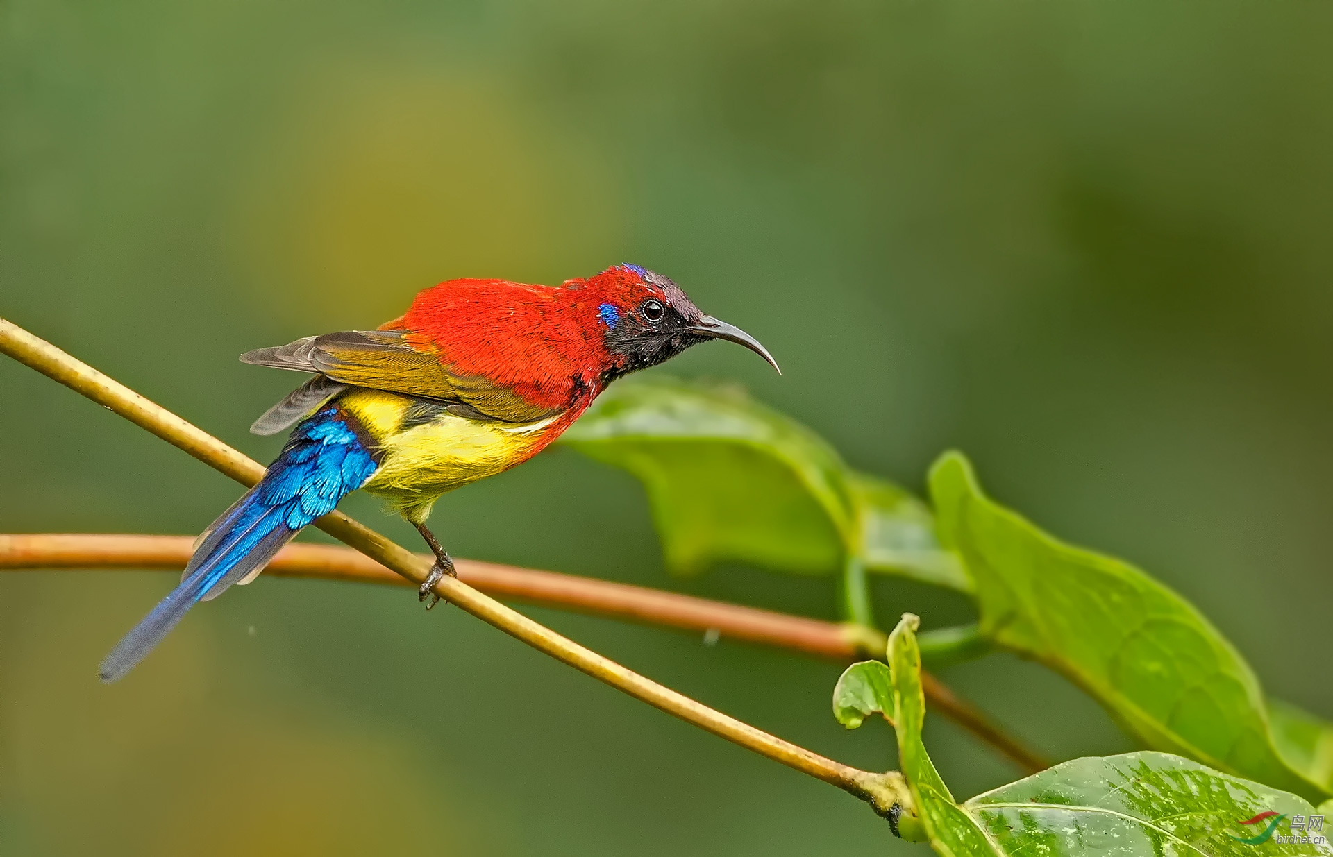 014A3725.jpg