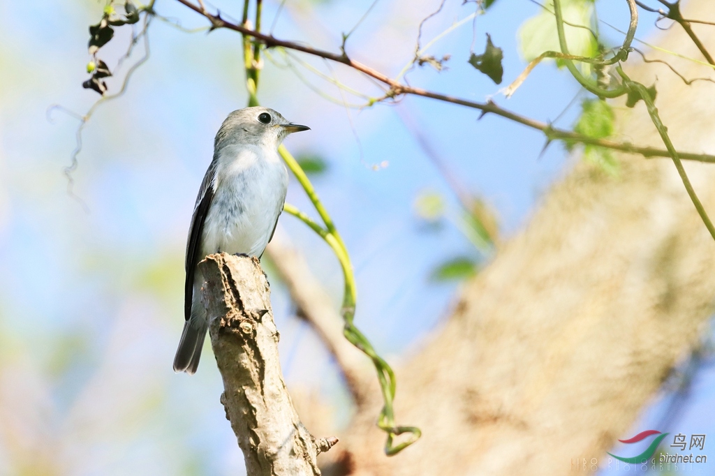 2019-10-03 南汇�