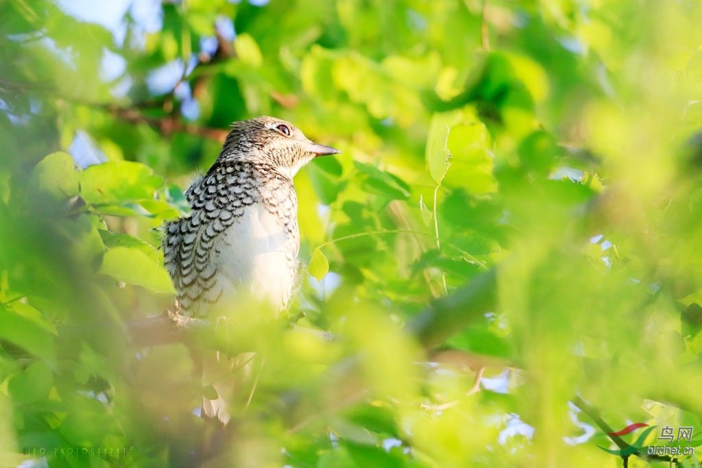 2019-10-03 南汇�