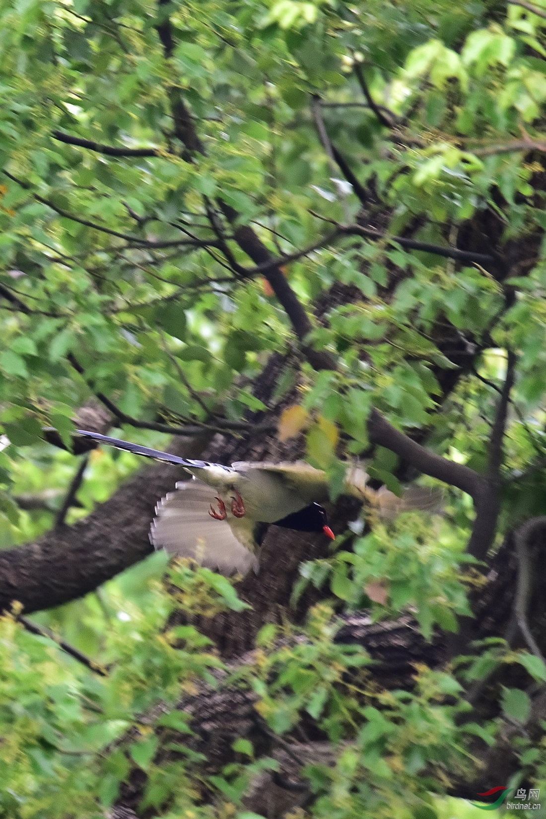 DSC_0467.JPG