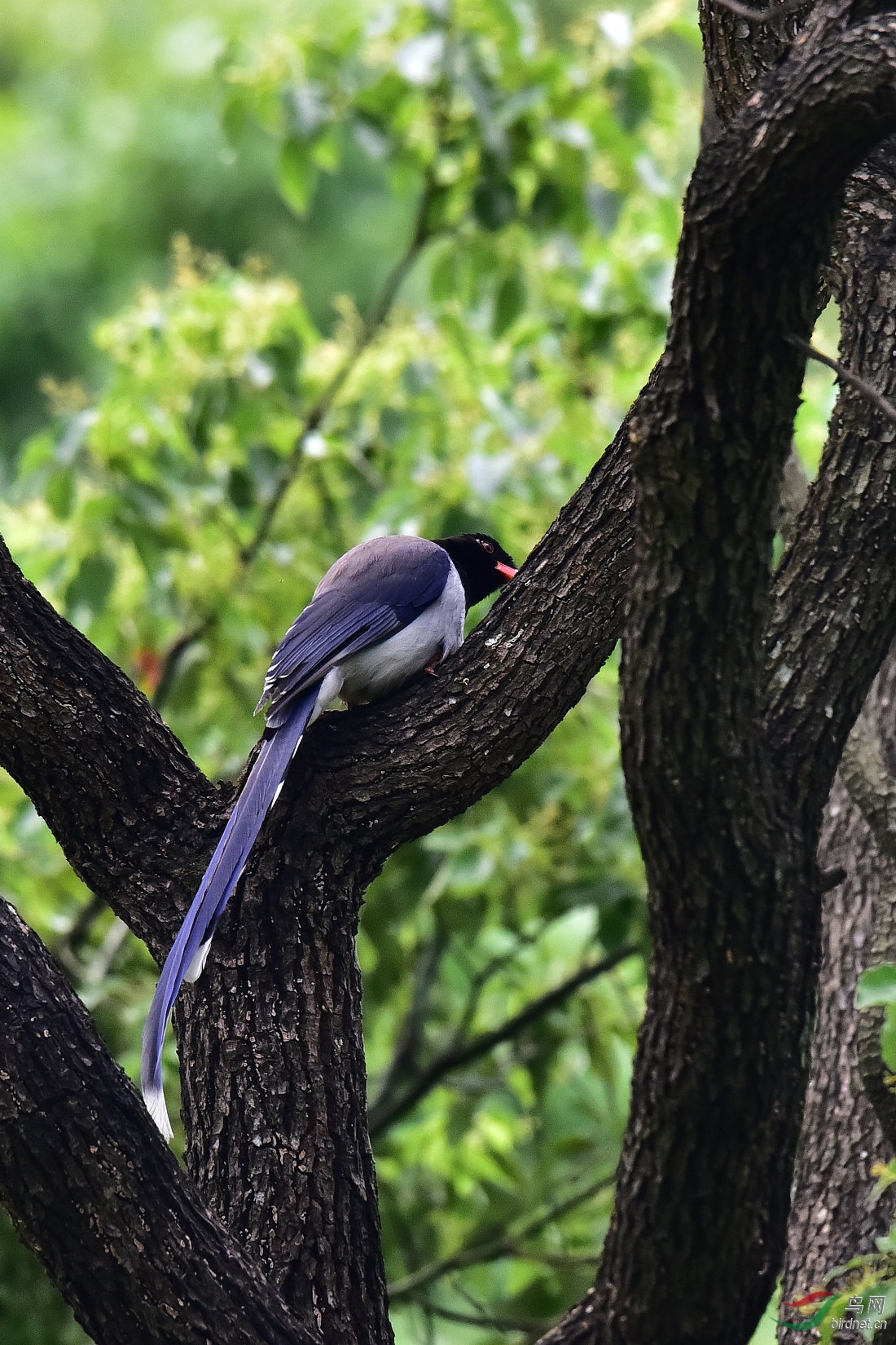 DSC_0468.JPG