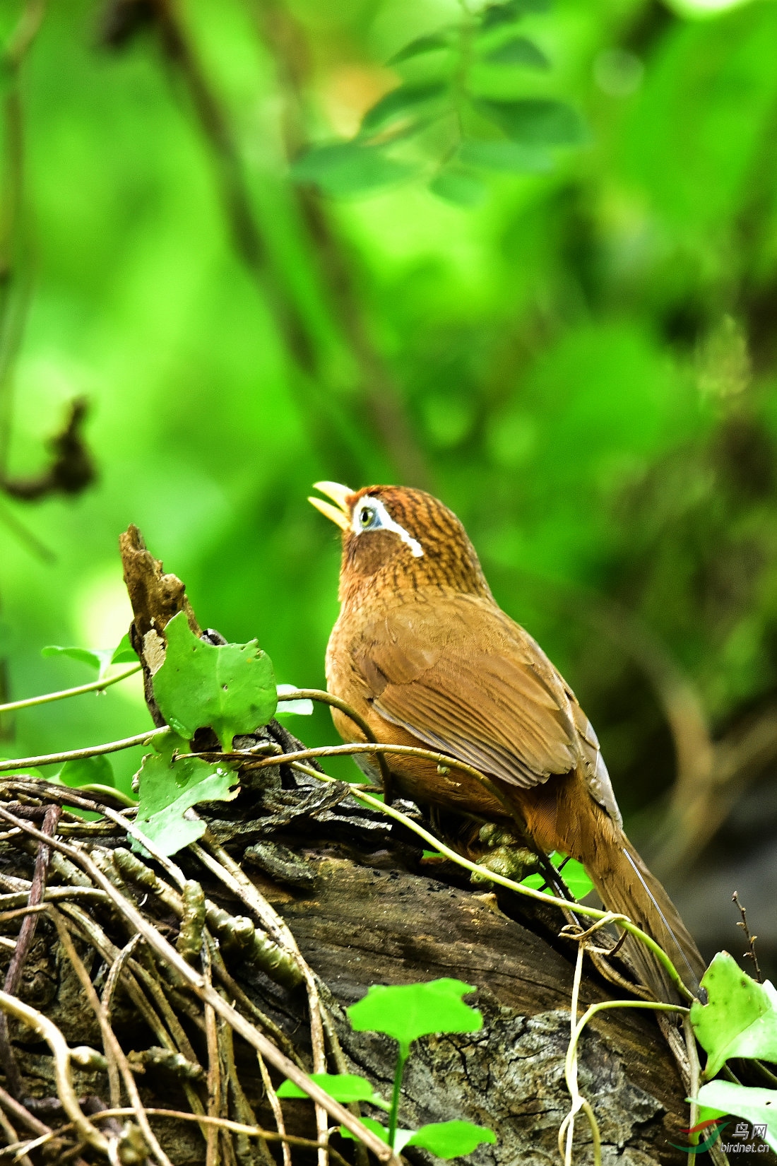 DSC_0057.JPG